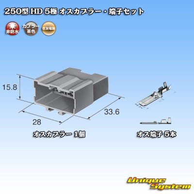 画像5: 住友電装 250型 HD 非防水 5極 オスカプラー・端子セット