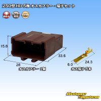 住友電装 250型 HD 非防水 5極 オスカプラー・端子セット