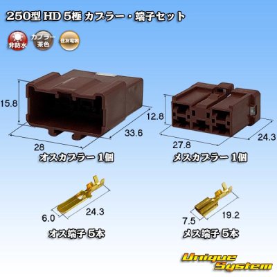 画像1: 住友電装 250型 HD 非防水 5極 カプラー・端子セット