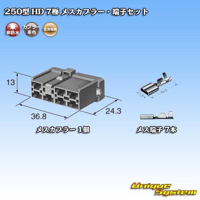 画像5: 住友電装 250型 HD 非防水 7極 メスカプラー・端子セット