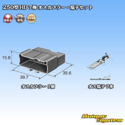 画像5: 住友電装 250型 HD 非防水 7極 オスカプラー・端子セット