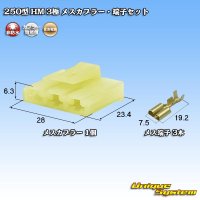 住友電装 250型 HM 非防水 3極 メスカプラー・端子セット