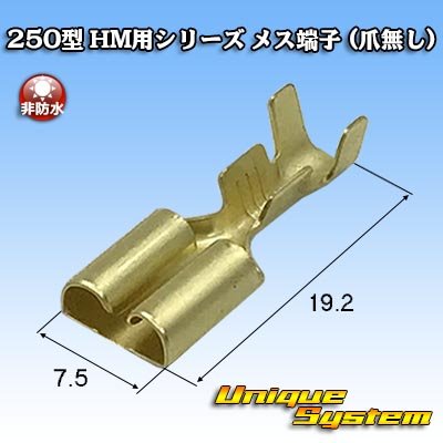 画像1: 住友電装 250型 HM用シリーズ 非防水 メス端子 (爪無し)