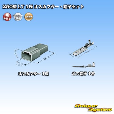 画像4: 住友電装 250型 LT 非防水 1極 オスカプラー・端子セット