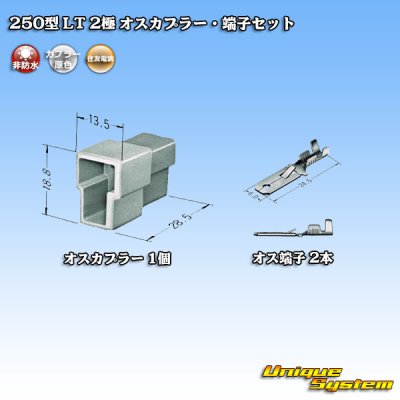 画像4: 住友電装 250型 LT 非防水 2極 オスカプラー・端子セット