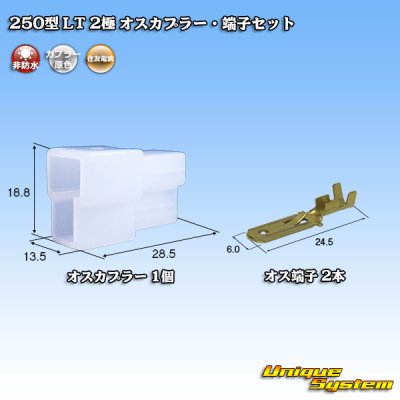 画像1: 住友電装 250型 LT 非防水 2極 オスカプラー・端子セット