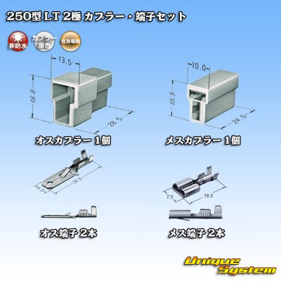 画像5: 住友電装 250型 LT 非防水 2極 カプラー・端子セット