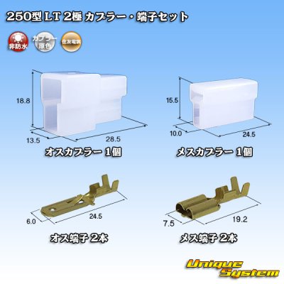 画像1: 住友電装 250型 LT 非防水 2極 カプラー・端子セット