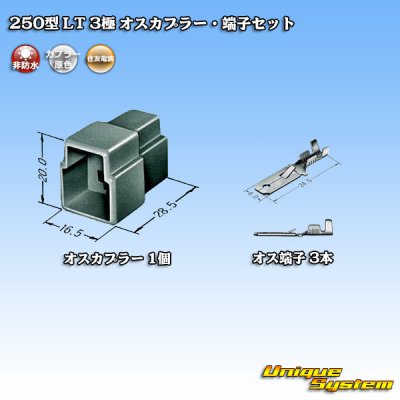 画像4: 住友電装 250型 LT 非防水 3極 オスカプラー・端子セット