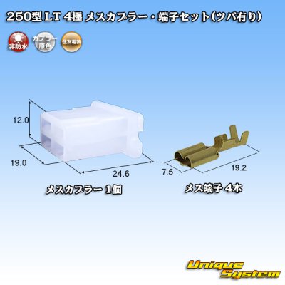 画像1: 住友電装 250型 LT 非防水 4極 メスカプラー・端子セット(ツバ有り)