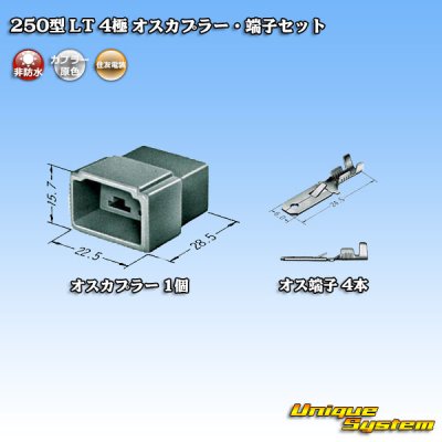 画像4: 住友電装 250型 LT 非防水 4極 オスカプラー・端子セット