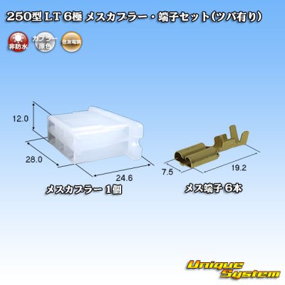 画像1: 住友電装 250型 LT 非防水 6極 メスカプラー・端子セット(ツバ有り)