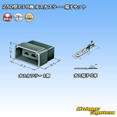 画像4: 住友電装 250型 LT 非防水 6極 オスカプラー・端子セット