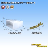 住友電装 250型 LT 非防水 6極 オスカプラー・端子セット