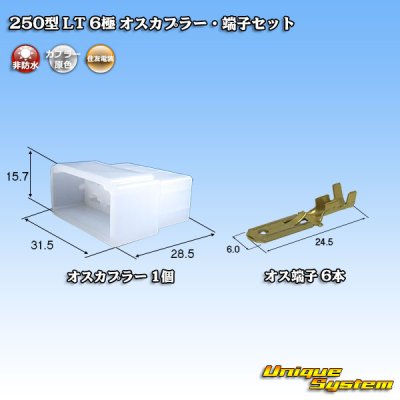 画像1: 住友電装 250型 LT 非防水 6極 オスカプラー・端子セット