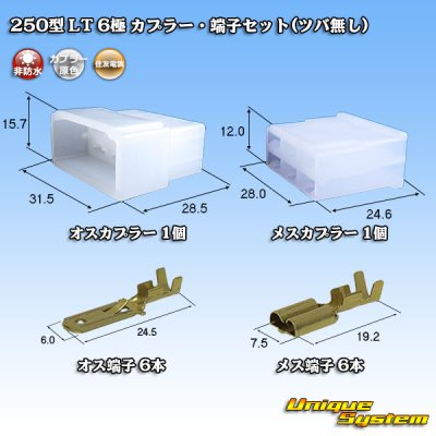 画像1: 住友電装 250型 LT 非防水 6極 カプラー・端子セット(ツバ無し)