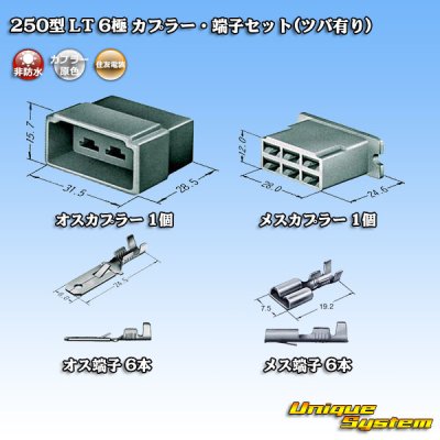 画像5: 住友電装 250型 LT 非防水 6極 カプラー・端子セット(ツバ有り)