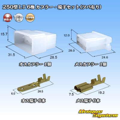 画像1: 住友電装 250型 LT 非防水 6極 カプラー・端子セット(ツバ有り)