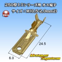 住友電装 250型 LTシリーズ用 非防水 オス端子 サイズ：M(0.5-2.0mm2)