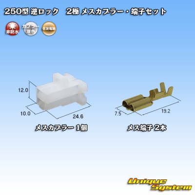 画像1: 住友電装 250型 逆ロック 非防水 2極 メスカプラー・端子セット (オス側ブラケット有り・無しどちらでも使用可)