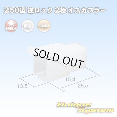 画像1: 住友電装 250型 逆ロック 非防水 2極 オスカプラー (ブラケット無し)