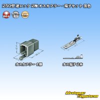 住友電装 250型 逆ロック 非防水 2極 オスカプラー・端子セット 黒色