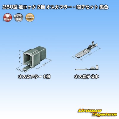 画像1: 住友電装 250型 逆ロック 非防水 2極 オスカプラー・端子セット 黒色