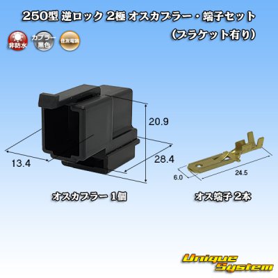 画像1: 住友電装 250型 逆ロック 非防水 2極 オスカプラー・端子セット (ブラケット有り)