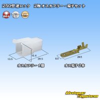 住友電装 250型 逆ロック 非防水 2極 オスカプラー・端子セット (ブラケット無し)