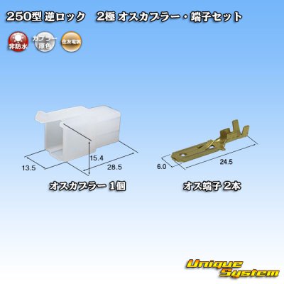 画像1: 住友電装 250型 逆ロック 非防水 2極 オスカプラー・端子セット (ブラケット無し)