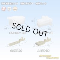 住友電装 250型 逆ロック 非防水 2極 カプラー・端子セット (オス側ブラケット無し)