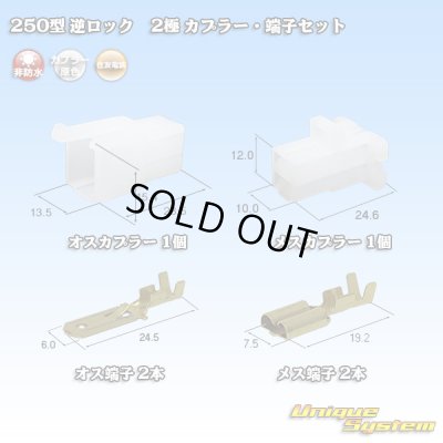 画像1: 住友電装 250型 逆ロック 非防水 2極 カプラー・端子セット (オス側ブラケット無し)