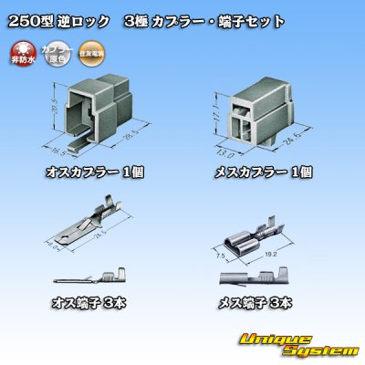 画像5: 住友電装 250型 逆ロック 非防水 3極 カプラー・端子セット