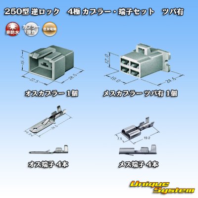 画像5: 住友電装 250型 逆ロック 非防水 ツバあり 4極 カプラー・端子セット