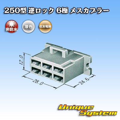 画像3: 住友電装 250型 逆ロック 非防水 6極 メスカプラー