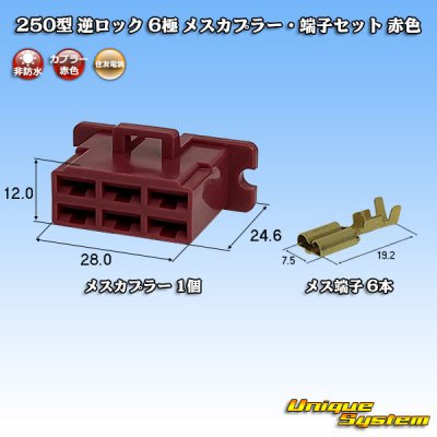 画像1: 住友電装 250型 逆ロック 非防水 6極 メスカプラー・端子セット 赤色