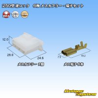 住友電装 250型 逆ロック 非防水 6極 メスカプラー・端子セット