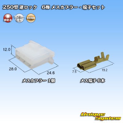 画像1: 住友電装 250型 逆ロック 非防水 6極 メスカプラー・端子セット