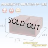 住友電装 250型 逆ロック 非防水 6極 オスカプラー 赤色