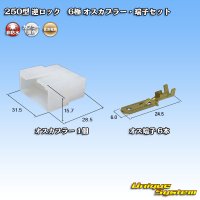 住友電装 250型 逆ロック 非防水 6極 オスカプラー・端子セット