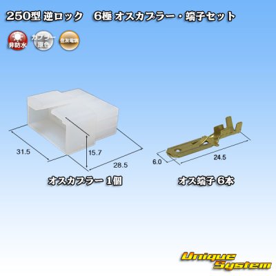 画像1: 住友電装 250型 逆ロック 非防水 6極 オスカプラー・端子セット