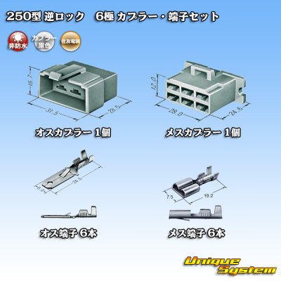 画像5: 住友電装 250型 逆ロック 非防水 6極 カプラー・端子セット