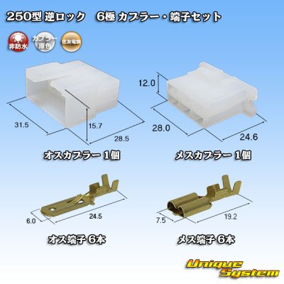 画像1: 住友電装 250型 逆ロック 非防水 6極 カプラー・端子セット