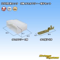 住友電装 250型 逆ロック 非防水 8極 オスカプラー・端子セット