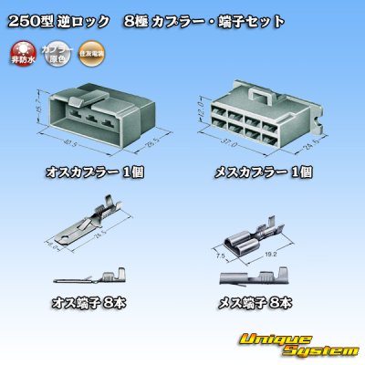 画像5: 住友電装 250型 逆ロック 非防水 8極 カプラー・端子セット