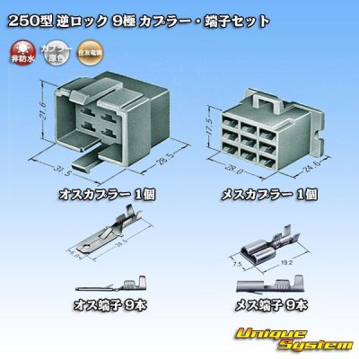 画像1: 住友電装 250型 逆ロック 非防水 9極 カプラー・端子セット