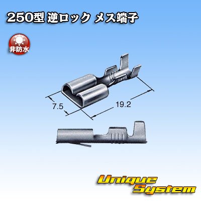 画像3: 住友電装 250型 逆ロックシリーズ用 非防水 メス端子 サイズ：M(0.5-2.0mm2)