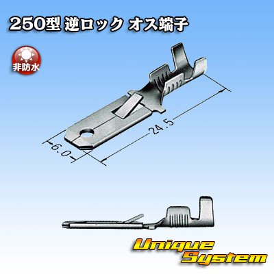 画像3: 住友電装 250型 逆ロックシリーズ用 非防水 オス端子 サイズ：M(0.5-2.0mm2)