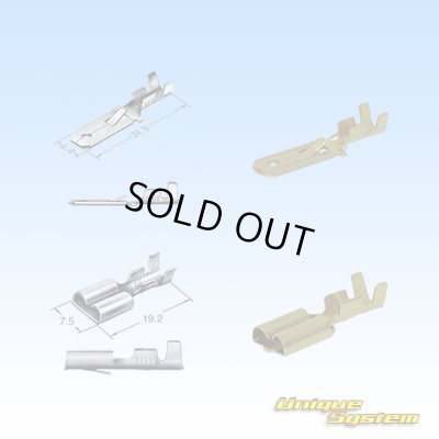 画像4: 住友電装 250型 逆ロック 非防水 2極 カプラー・端子セット (オス側ブラケット無し)