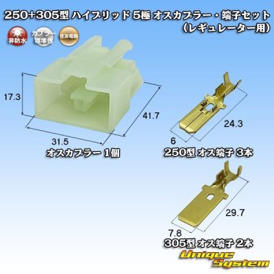 画像1: 住友電装 250+305型 ハイブリッド 非防水 5極 オスカプラー・端子セット (レギュレーター用)